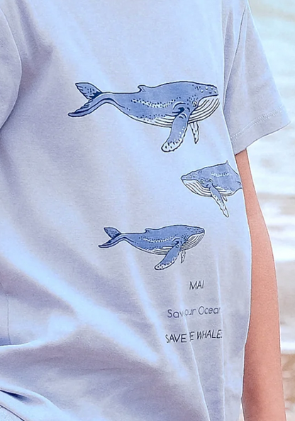 Whalesong - Applique ringer Tshirt