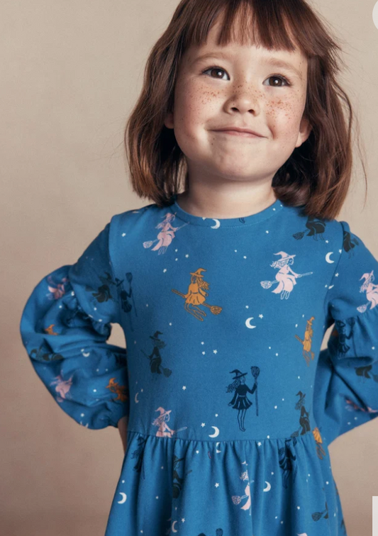 Birds of Wonder dress